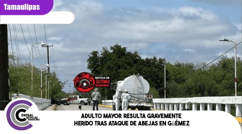 Adulto mayor resulta gravemente herido tras ataque de abejas en Güémez