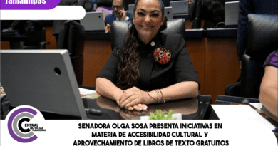 Senadora Olga Sosa presenta iniciativas en materia de accesibilidad cultural y aprovechamiento de libros de texto gratuitos