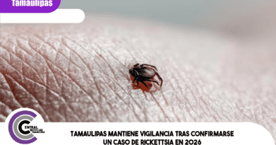 Tamaulipas mantiene vigilancia tras confirmarse un caso de rickettsia en 2026