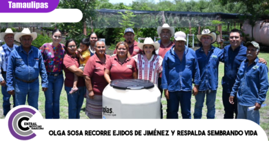 Olga Sosa recorre ejidos de Jiménez y respalda Sembrando Vida.