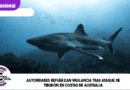 Autoridades australianas refuerzan vigilancia tras ataque mortal de tiburón en Queensland