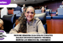 Propone senadora Olga Sosa Ruíz boletos seguros en eventos masivos; prioridad, respetar los derechos del consumidor.