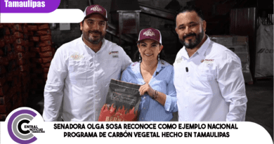 Senadora Olga Sosa reconoce como ejemplo nacional programa de carbón vegetal Hecho en Tamaulipas.