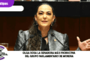 Olga Sosa la senadora más productiva del grupo parlamentario de Morena