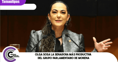 Olga Sosa la senadora más productiva del grupo parlamentario de Morena
