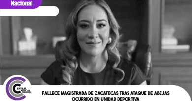 Fallece magistrada de Zacatecas tras ataque de abejas ocurrido en unidad deportiva
