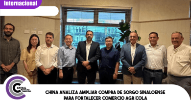 China analiza ampliar compra de sorgo sinaloense para fortalecer comercio agrícola