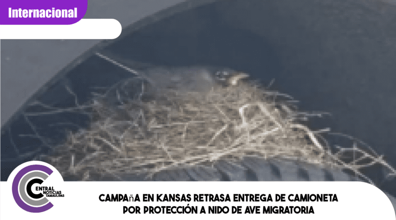 Campaña en Kansas retrasa entrega de camioneta por protección a nido de ave migratoria Campaña en Kansas retrasa entrega de camioneta por protección a nido de ave migratoria