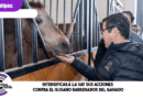 Intensificará la UAT sus acciones contra el gusano barrenador del ganado
