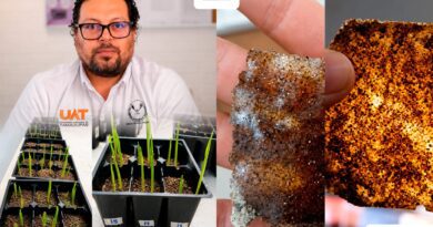 Patenta la UAT bioplásticos que recuperan suelos erosionados