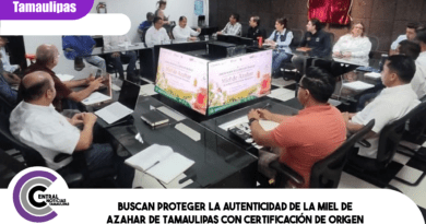 Buscan proteger la autenticidad de la Miel de Azahar de Tamaulipas con certificación de origen