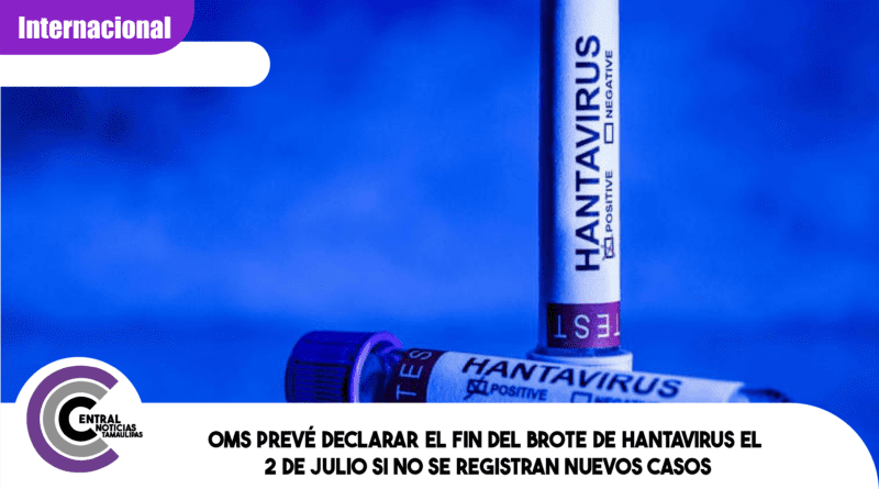 OMS prevé declarar el fin del brote de hantavirus el 2 de julio si no se registran nuevos casos OMS prevé declarar el fin del brote de hantavirus el 2 de julio si no se registran nuevos casos