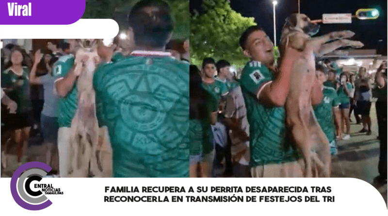 Familia recupera a su perrita desaparecida tras reconocerla en transmisión de festejos del Tri