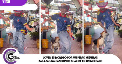 Joven es mordido por un perro mientras bailaba una canción de Shakira en un mercado