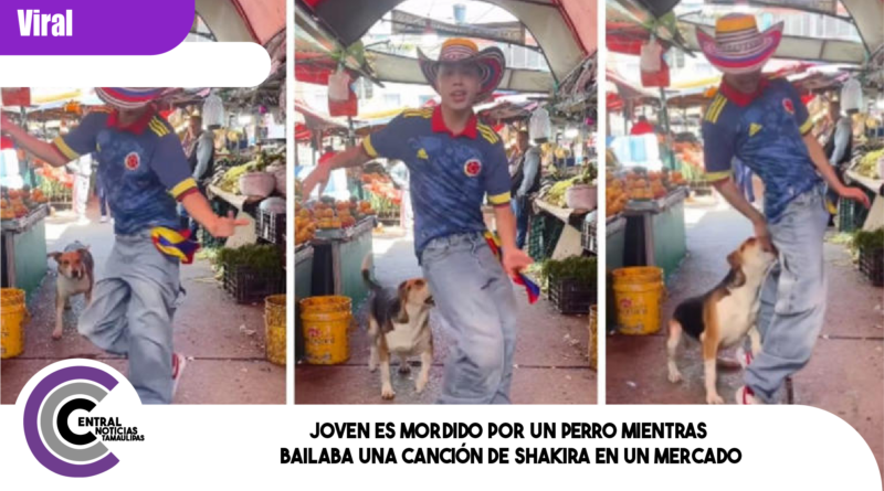 Joven es mordido por un perro mientras bailaba una canción de Shakira en un mercado