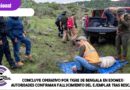 Concluye operativo por tigre de Bengala en Edomex; autoridades confirman fallecimiento del ejemplar tras rescate Concluye operativo por tigre de Bengala en Edomex; autoridades confirman fallecimiento del ejemplar tras rescate