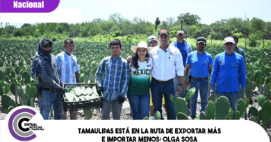 Tamaulipas está en la ruta de exportar más e importar menos: Olga Sosa Tamaulipas está en la ruta de exportar más e importar menos: Olga Sosa