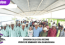 Senadora Olga Sosa recorre viveros de Sembrando Vida en Miquihuana