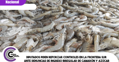 Diputados piden reforzar controles en la frontera sur ante denuncias de ingreso irregular de camarón y azúcar Diputados piden reforzar controles en la frontera sur ante denuncias de ingreso irregular de camarón y azúcar