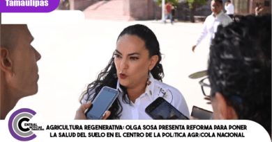 Agricultura regenerativa: Olga Sosa presenta reforma para poner la salud del suelo en el centro de la política agrícola nacional Agricultura regenerativa: Olga Sosa presenta reforma para poner la salud del suelo en el centro de la política agrícola nacional