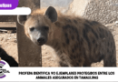 Profepa identifica 90 ejemplares protegidos entre los animales asegurados en Tamaulipas