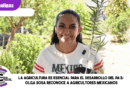 La Agricultura es esencial para el desarrollo del país; Olga Sosa reconoce a agricultores mexicanos
