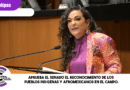 Aprueba el Senado el reconocimiento de los pueblos indígenas y afromexicanos en el campo.