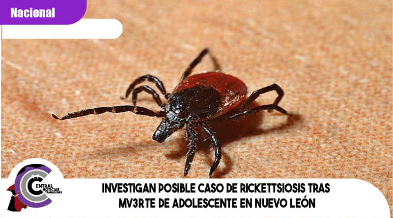Investigan posible caso de rickettsiosis tras mv3rte de adolescente en Nuevo León