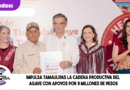 Impulsa Tamaulipas la cadena productiva del agave con apoyos por 8 millones de pesos