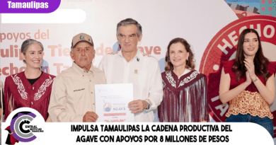 Impulsa Tamaulipas la cadena productiva del agave con apoyos por 8 millones de pesos