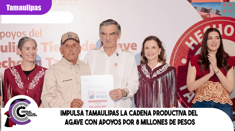 Impulsa Tamaulipas la cadena productiva del agave con apoyos por 8 millones de pesos