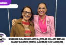 Senadora Olga Sosa plantea a titular de la CFE ampliar reclasificación de tarifas eléctricas para Tamaulipas