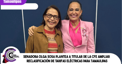 Senadora Olga Sosa plantea a titular de la CFE ampliar reclasificación de tarifas eléctricas para Tamaulipas